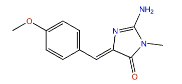 Leucettamine C